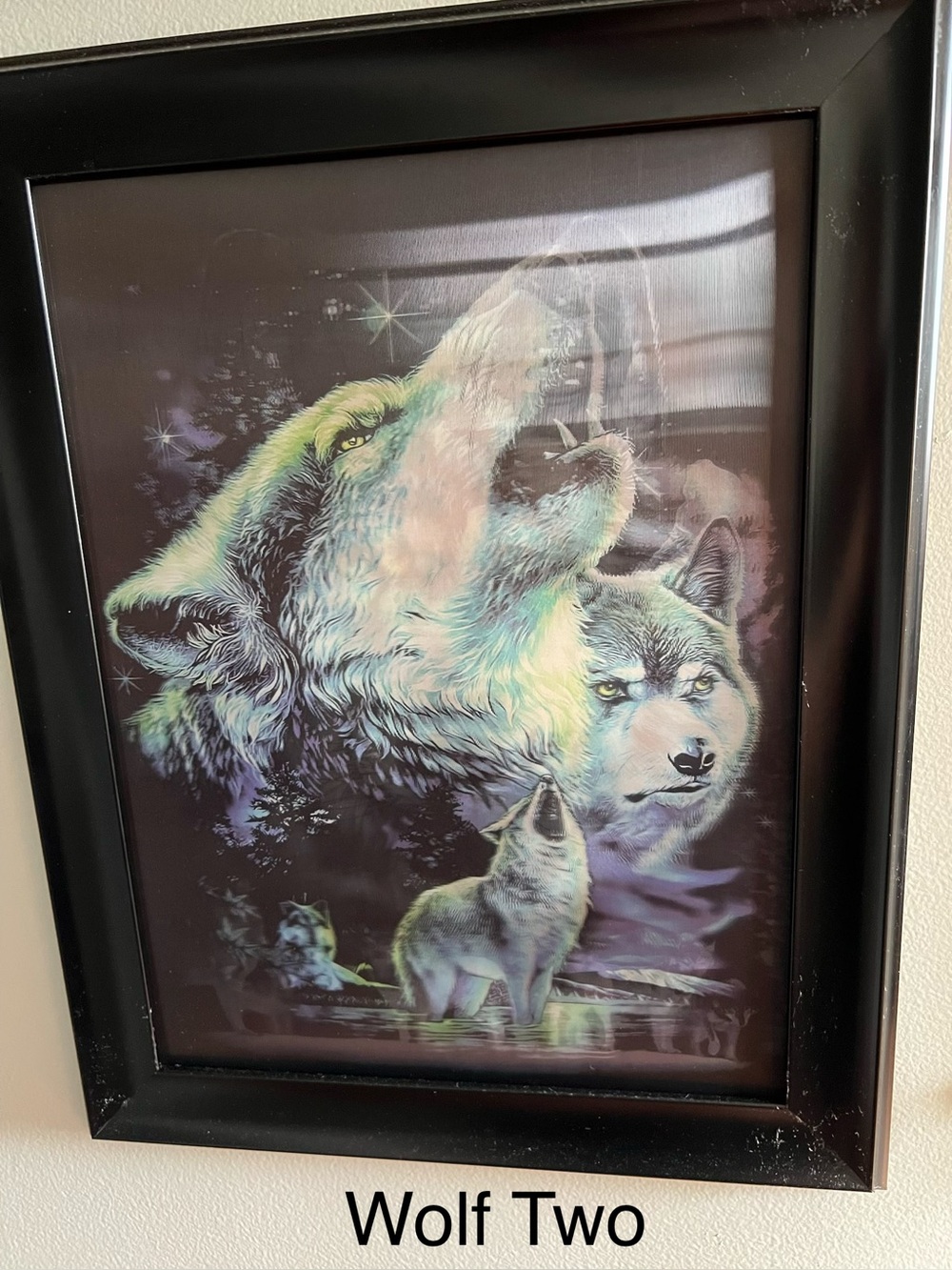 Pick One: Majestic Wolf Pictures - Picture 5 of 9
